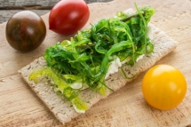Les algues comestibles dans nos assiettes Les algues comestibles dans nos assiettes